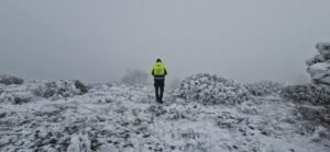 Nevada en Nuevo León